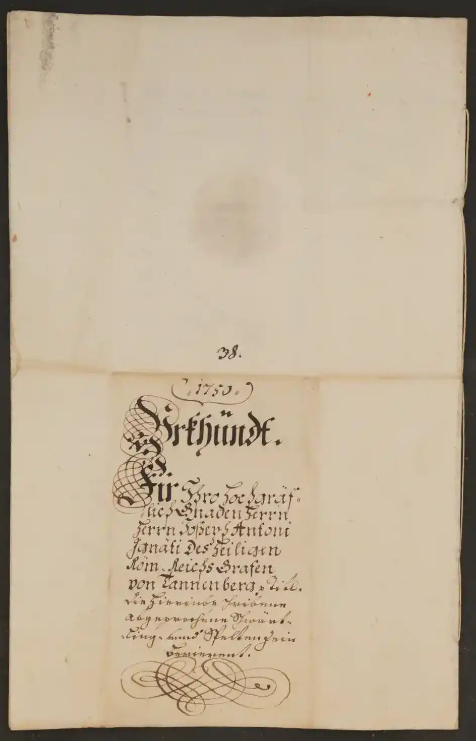 Bild 117